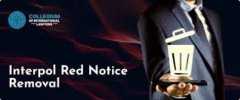 Understanding Interpol's Red Notice What You Need to Know 379156657